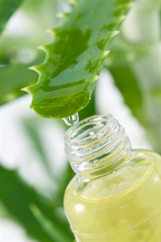 aloe-vera-with-oil.jpg