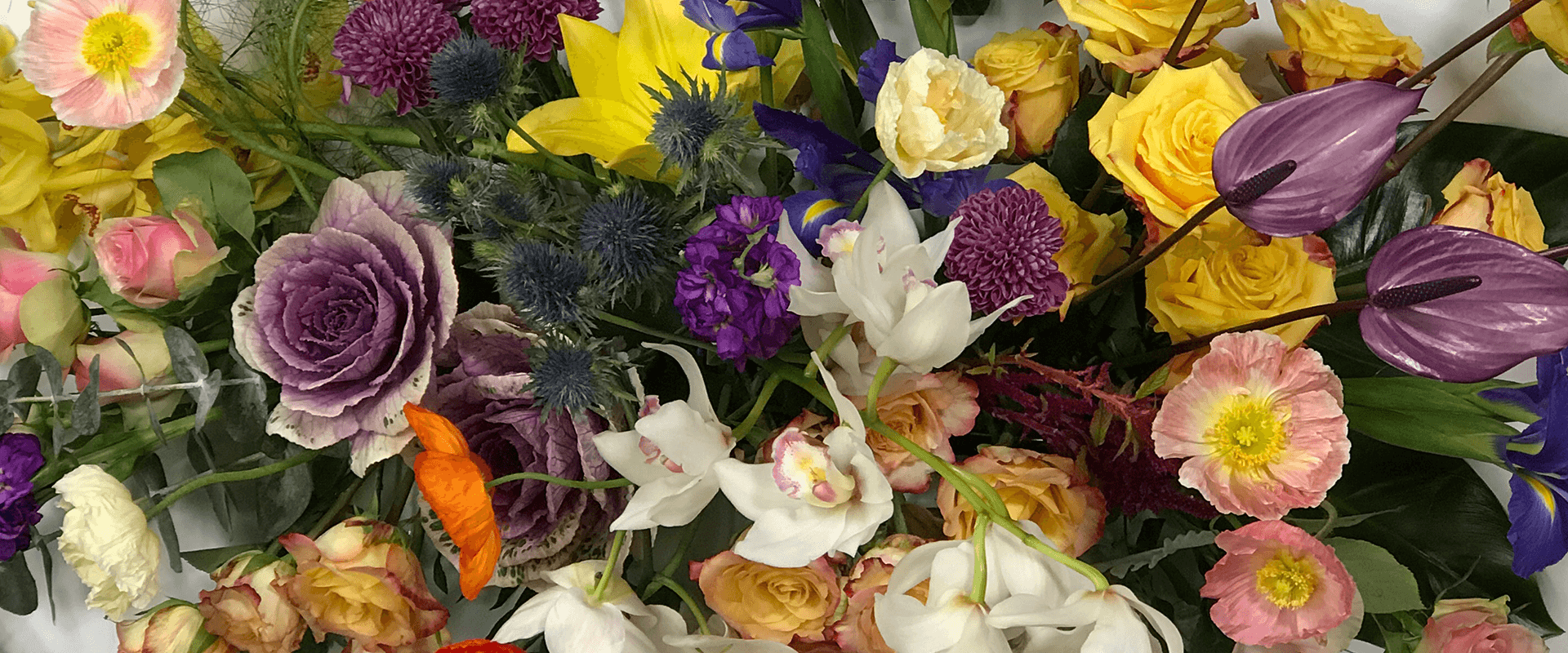 Makayla McLeish Free Same Day Delivery Flowers Sydney / Roses Bouquet Fire And Ice The Flower