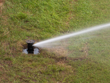 Sprinkler on Croquet Court Sprinkler on Croquet Court