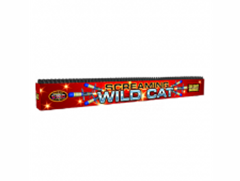 Screaming Wild Cat Screaming Wild Cat
