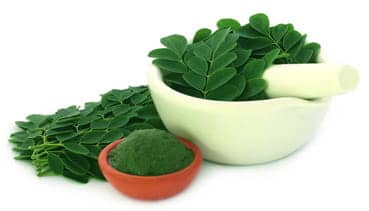 moringa-leaf-powder.jpg