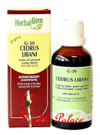 HerbalGem Gemmotherapy G38 Cedrus libani 15 ml HerbalGem Gemmotherapy G38 Cedrus libani 15 ml
