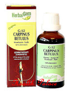 HerbalGem Gemmotherapy G52 Carpinus betulus 15 ml HerbalGem Gemmotherapy G52 Carpinus betulus 15 ml