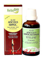 HerbalGem Gemmotherapy G53 Aesculus hippocastanum 15 ml HerbalGem Gemmotherapy G53 Aesculus hippocastanum 15 ml