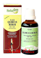 HerbalGem Gemmotherapy G63 Quercus robur 15 ml HerbalGem Gemmotherapy G63 Quercus robur 15 ml