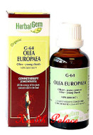 HerbalGem Gemmotherapy G64 Olea europaea 15 ml HerbalGem Gemmotherapy G64 Olea europaea 15 ml