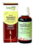 HerbalGem Gemmotherapy G67 Rosmarinus officinalis15 ml HerbalGem Gemmotherapy G67 Rosmarinus officinalis15 ml
