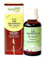 HerbalGem Gemmotherapy G51 Ilex aquifolium 50 Ml HerbalGem Gemmotherapy G51 Ilex aquifolium 50 Ml