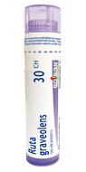 Boiron Ruta Graveolens 30CH - 80 Pellets Boiron Ruta Graveolens 30CH - 80 Pellets