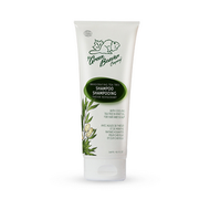 Green Beaver Tea Tree Invigorating Shampoo 240 Ml Green Beaver Tea Tree Invigorating Shampoo 240 Ml