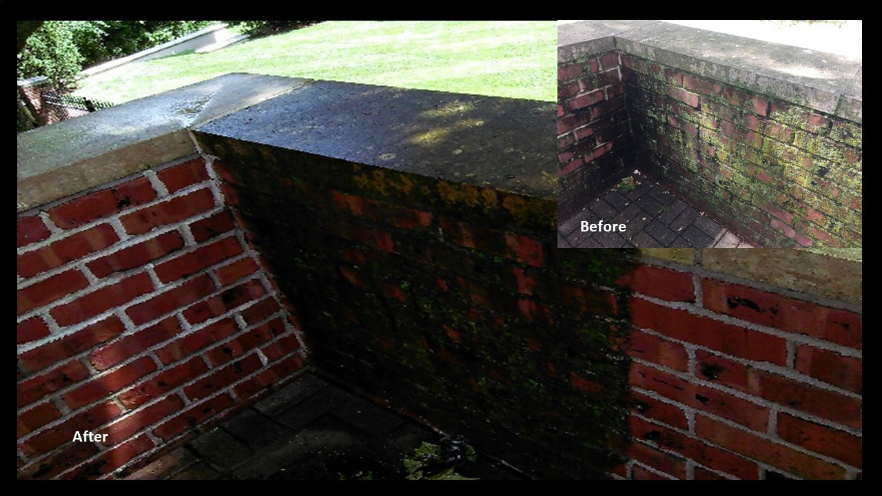 Mold and Mildew Cleaner - SealGreen