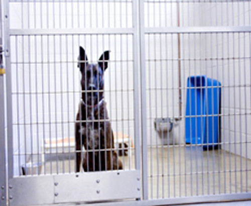 The prefect kennel cleaner The prefect kennel cleaner