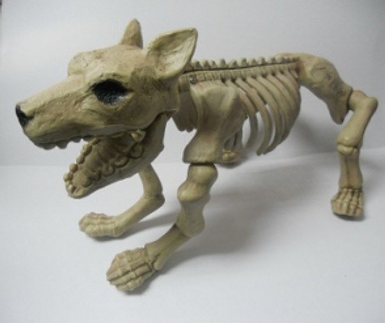 Skeleton Dog