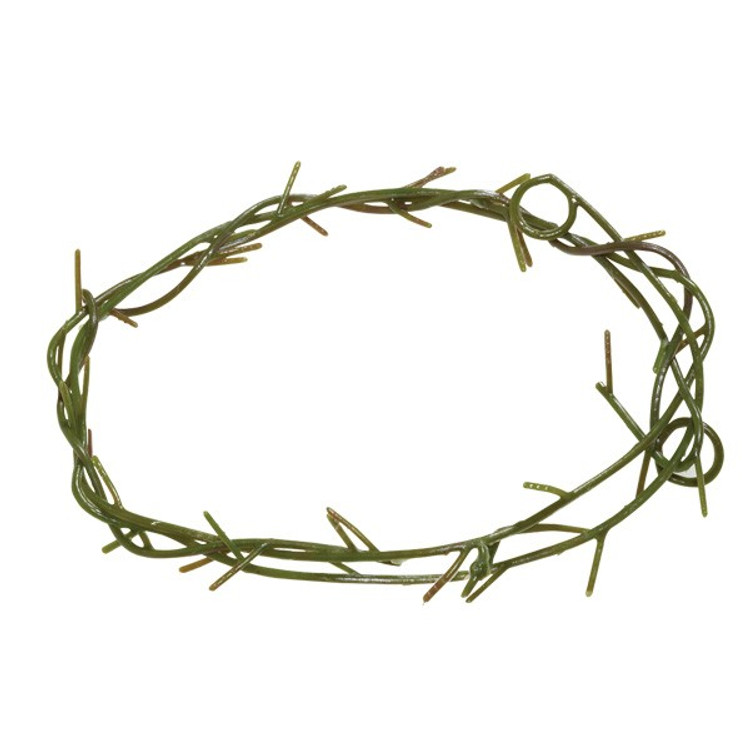 Crown of Thorns