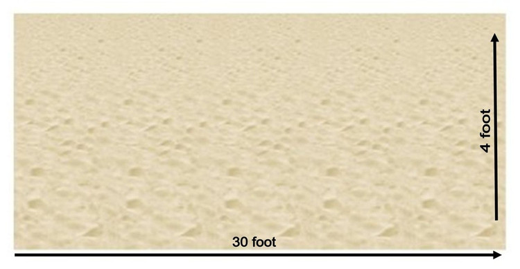 Sandy Beach Backdrop
