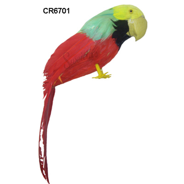 Pirate Parrot - Feathered