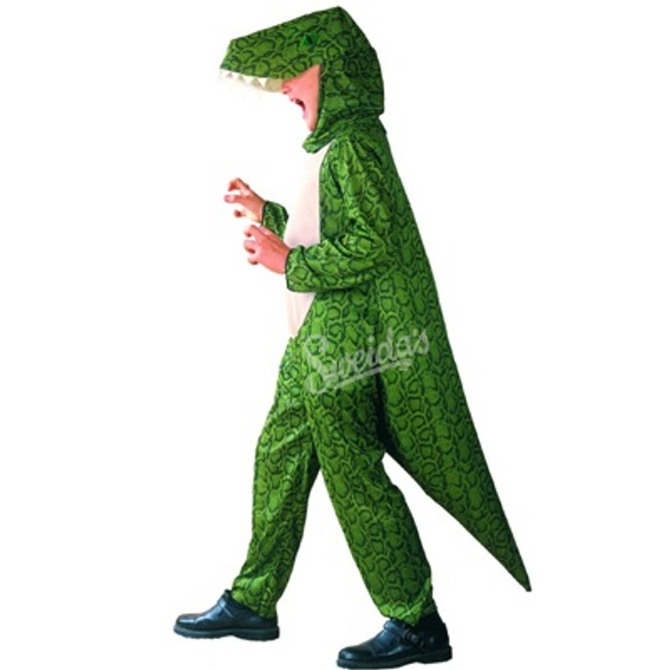 Dinosaur Childrens Costume