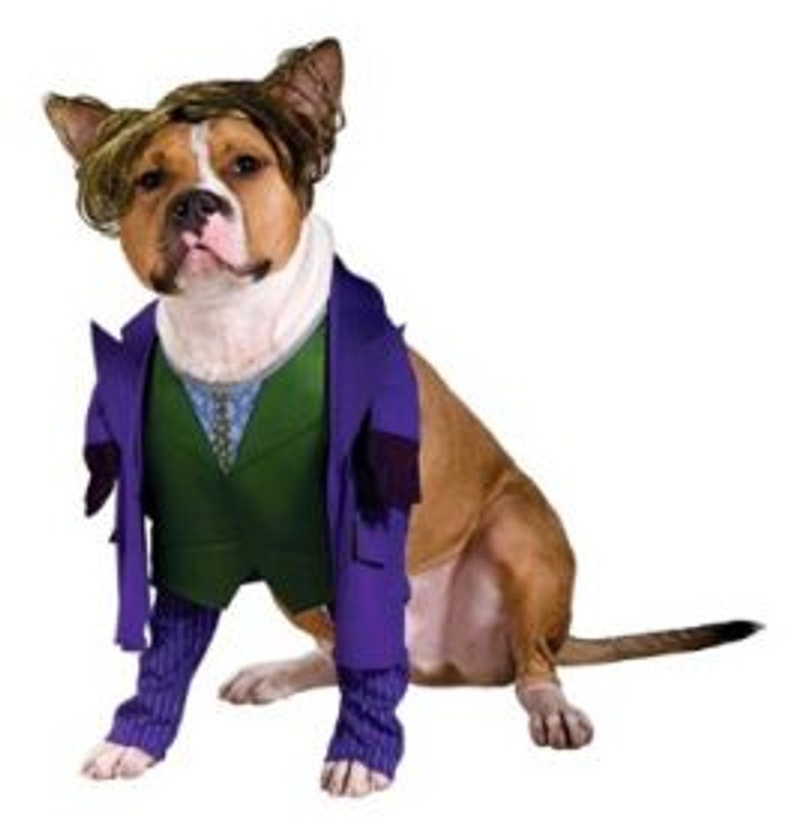 The Joker Pet Costume