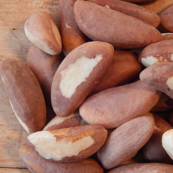 Brazil Nuts Brazil Nuts
