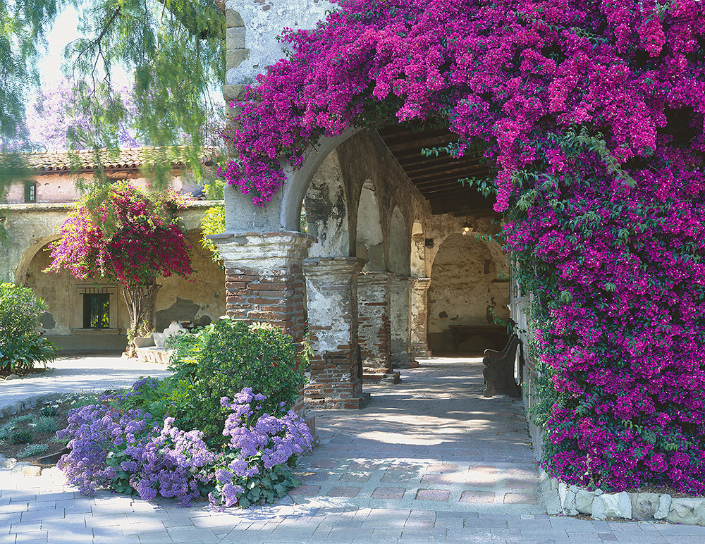 san juan capistrano buddhist dating site History sundried tomato is a gem of a bistro located in the historic area of downtown san juan capistrano opened in 2003, it is partially nestled into the vintage valenzuela adobe dating. san juan capistrano buddhist dating site History sundried tomato is a gem of a bistro located in the historic area of downtown san juan capistrano opened in 2003, it is partially nestled into the vintage valenzuela adobe dating.