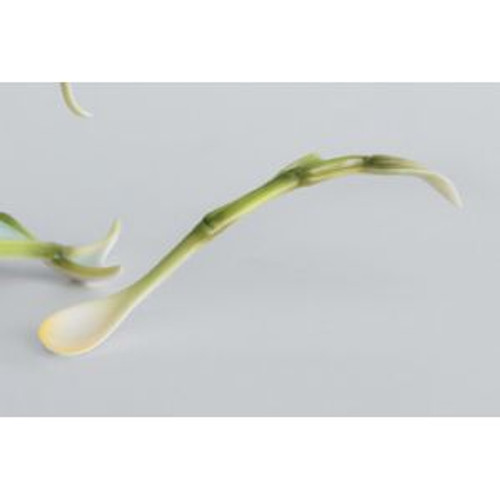 Franz Porcelain Bamboo Song Bird Spoon FZ00638