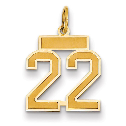 Number 22 Charm 14k Gold Small Satin LSS22