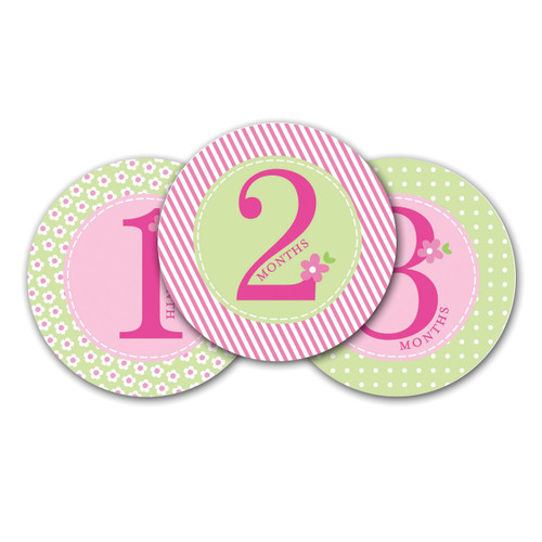 Pink Baby Milestone Stickers GM15704