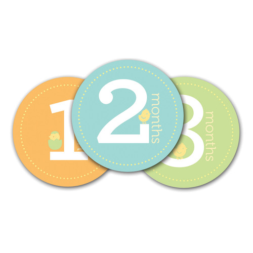Neutral Baby Milestone Stickers GM15705