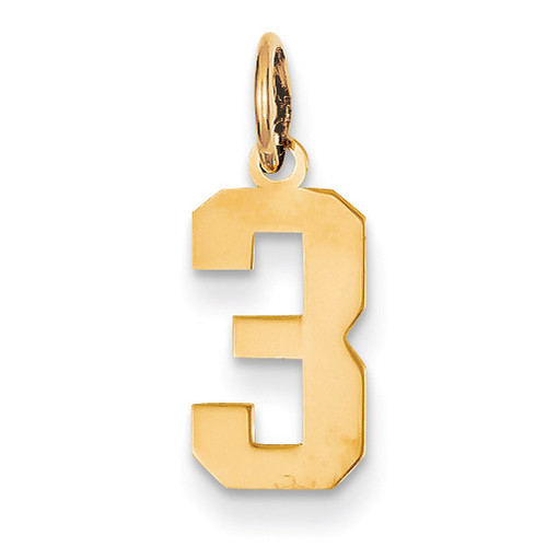 Small Polished Number 3 Charm 14k Gold LS03