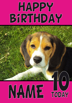 Beagle Puppy1 Dogs And Puppies Happy Birthday Kirsten Beagle Puppy1 Dogs And Puppies Happy Birthday Kirsten