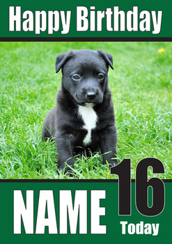 Black Puppy Dogs And Puppies Happy Birthday Black Puppy Dogs And Puppies Happy Birthday