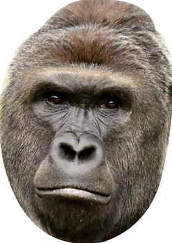 Gorilla Tv Celebrity Face Mask Gorilla Tv Celebrity Face Mask