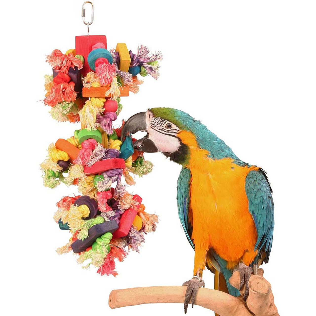 Best Parrot Bedding Best Parrot Bedding