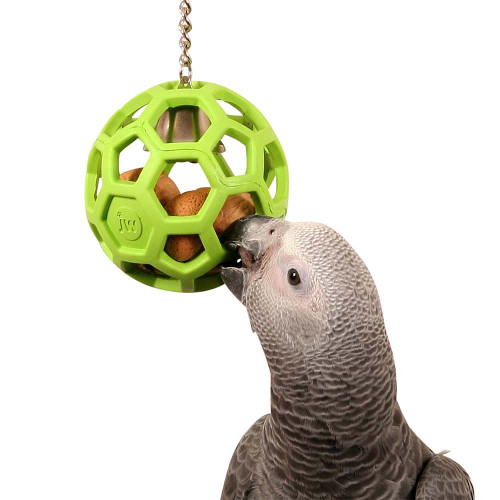 Holee Roller Foraging Parrot & Bird Toy
