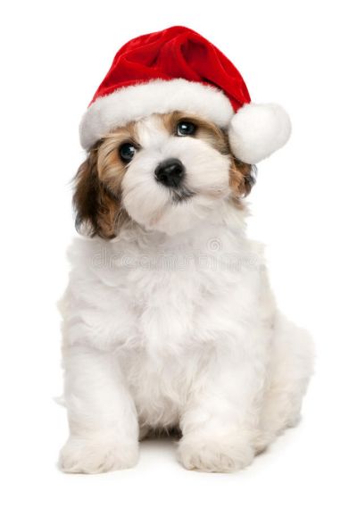 doghat.jpg doghat.jpg