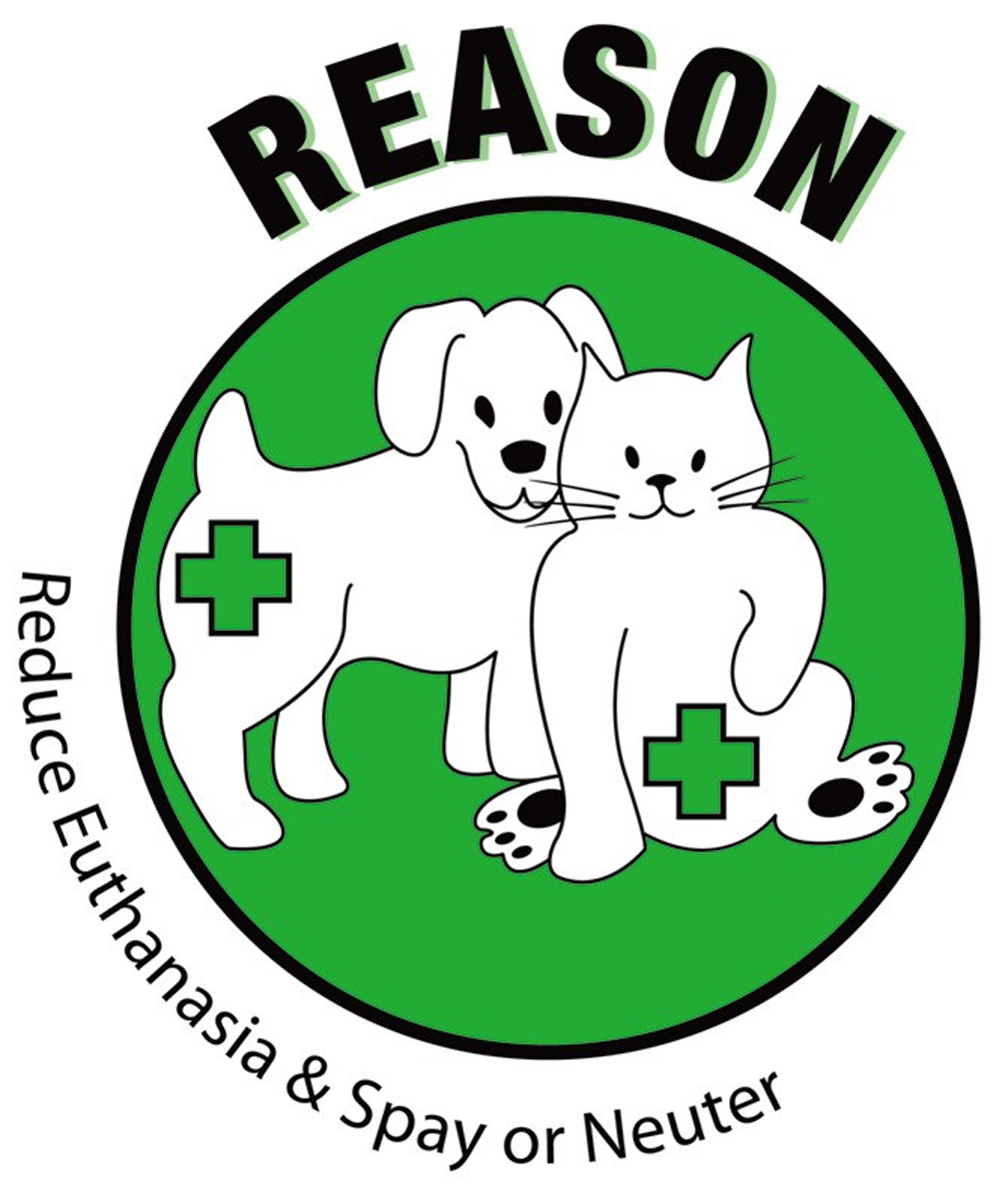 reason-logo.jpg