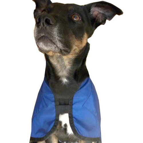 Reggie Rx Wrap ("Ice coat") Reggie Rx Wrap ("Ice coat")