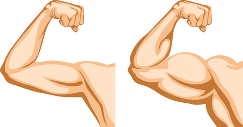 Sarcopenia--Buff Not Duff Zone At Any Age Sarcopenia--Buff Not Duff Zone At Any Age