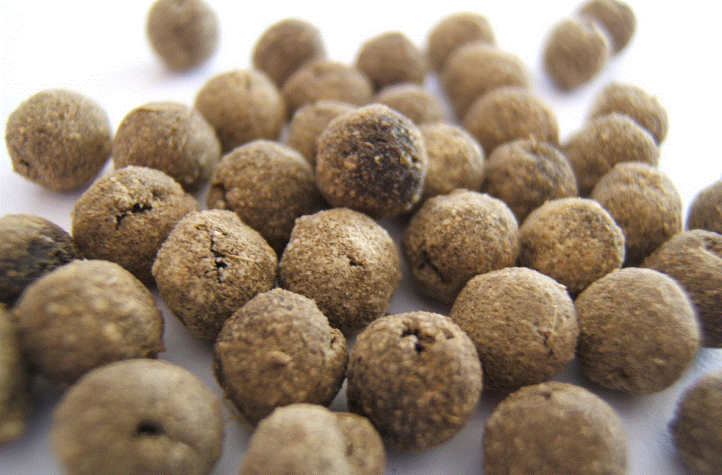 teapill-herbs