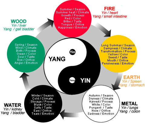 Yin-Yang Chinese Medical Patterns of Health-Illnesses