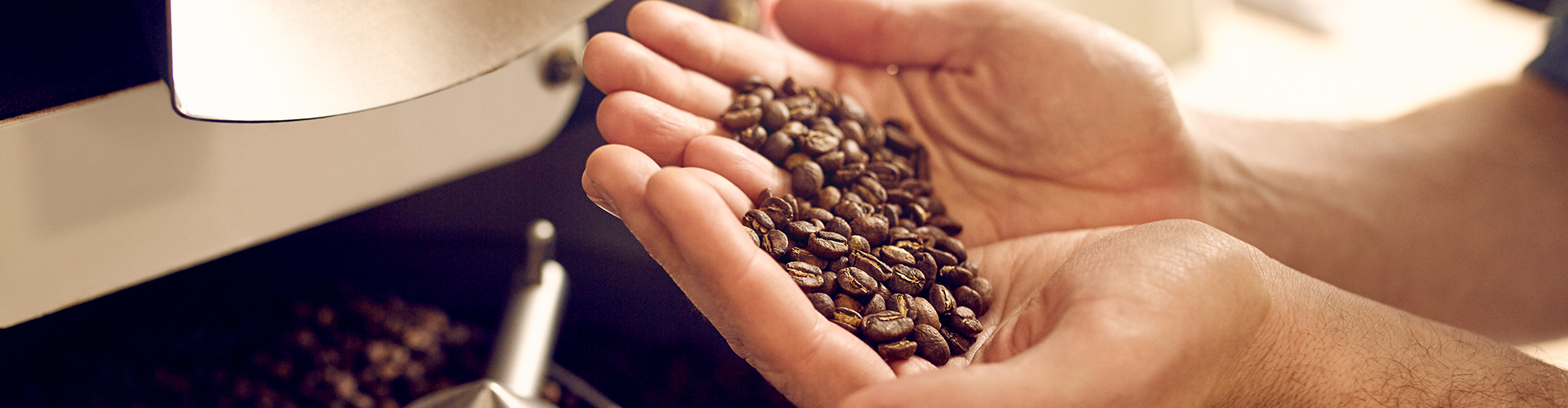 coffee bean importers australia