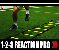 1-2-3 Reaction Pro Video Trainer