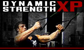 Dynamic Strength XP
