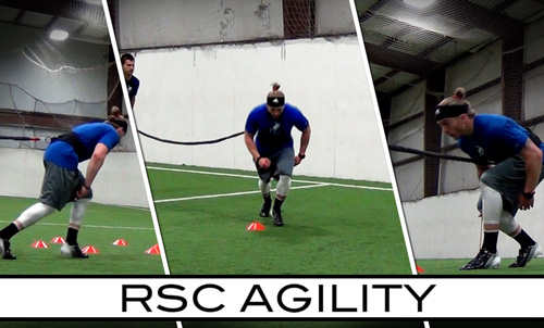 RSC Agility Digital Trainer