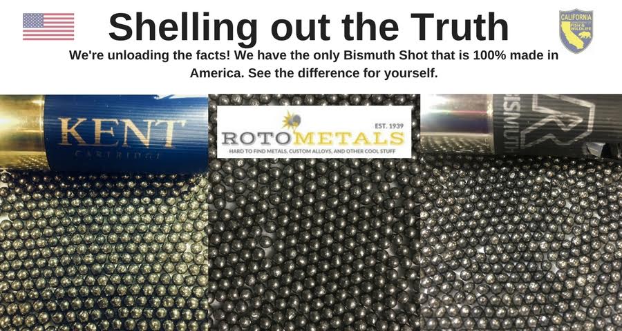 bismuth-shot.jpg