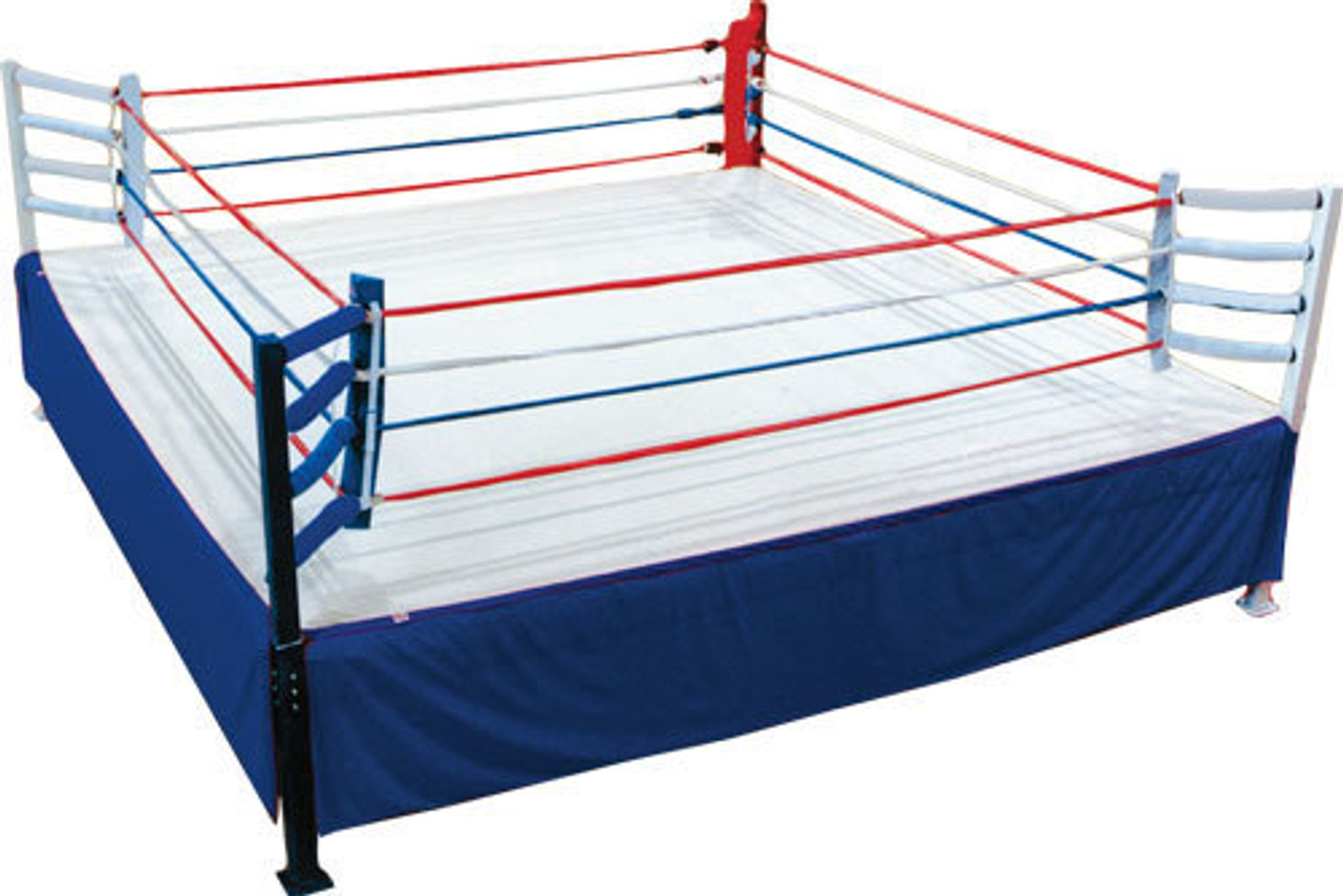 toy boxers in ring