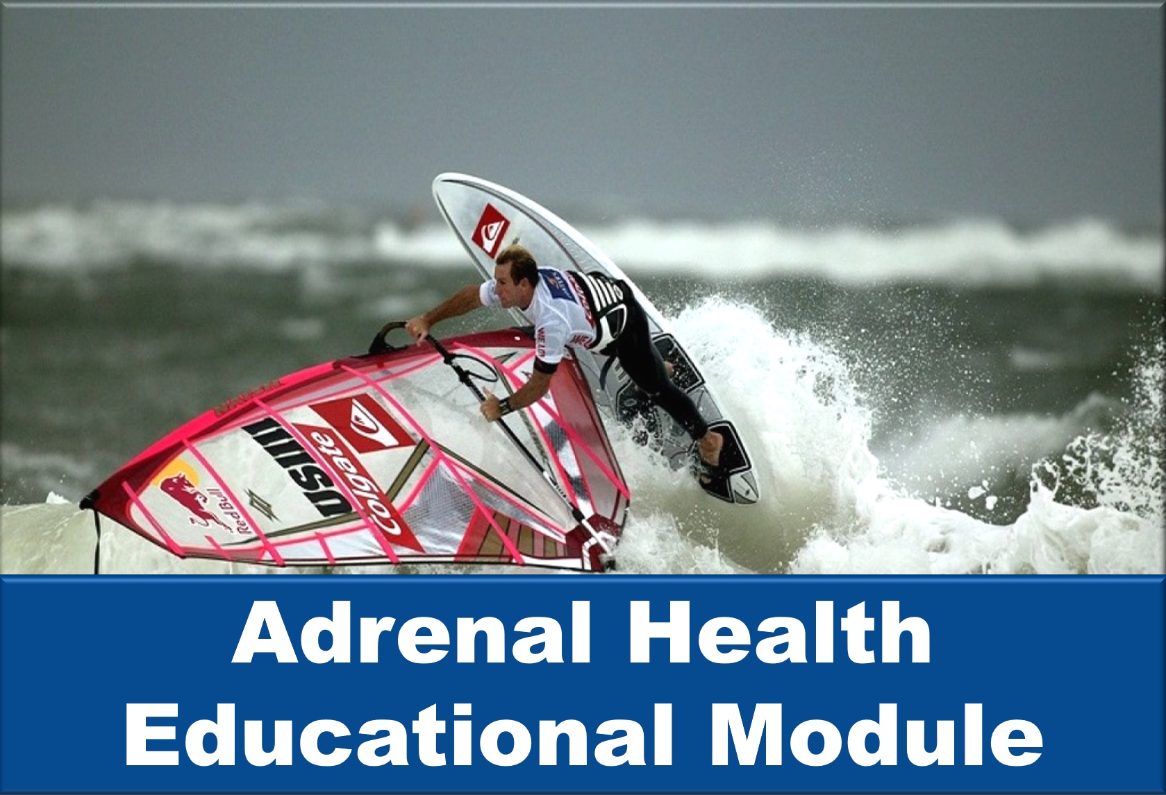 Adrenal Health Educational Module