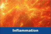 inflammation-tile.jpg