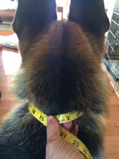neck-measurement.jpg neck-measurement.jpg