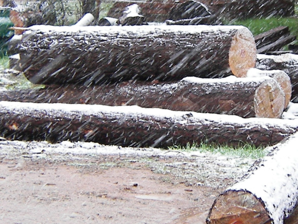 How Fast Should a Bandsaw Turn and Does That Change for Frozen Logs?